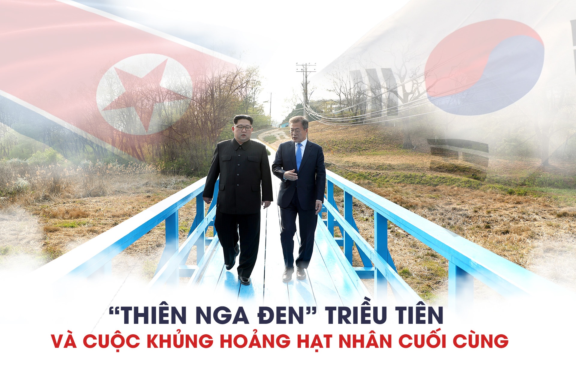 thiên nga đen Bắc Triều Tiên ảnh 1 thien nga den Bac Trieu Tien anh 1