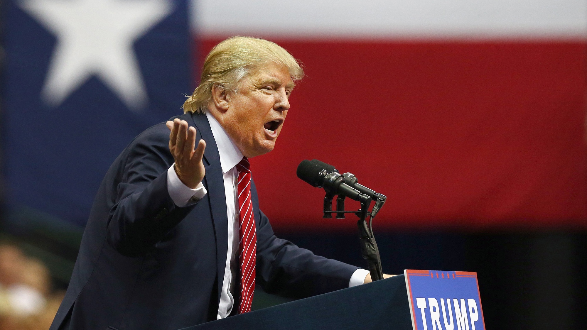 thiên nga đen Bắc Triều Tiên ảnh 5 thien nga den Bac Trieu Tien anh 5