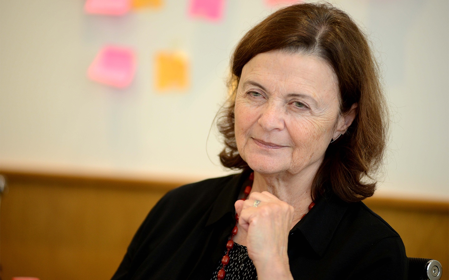 DH Fulbright co lanh dao moi thay the TNS Bob Kerrey hinh anh