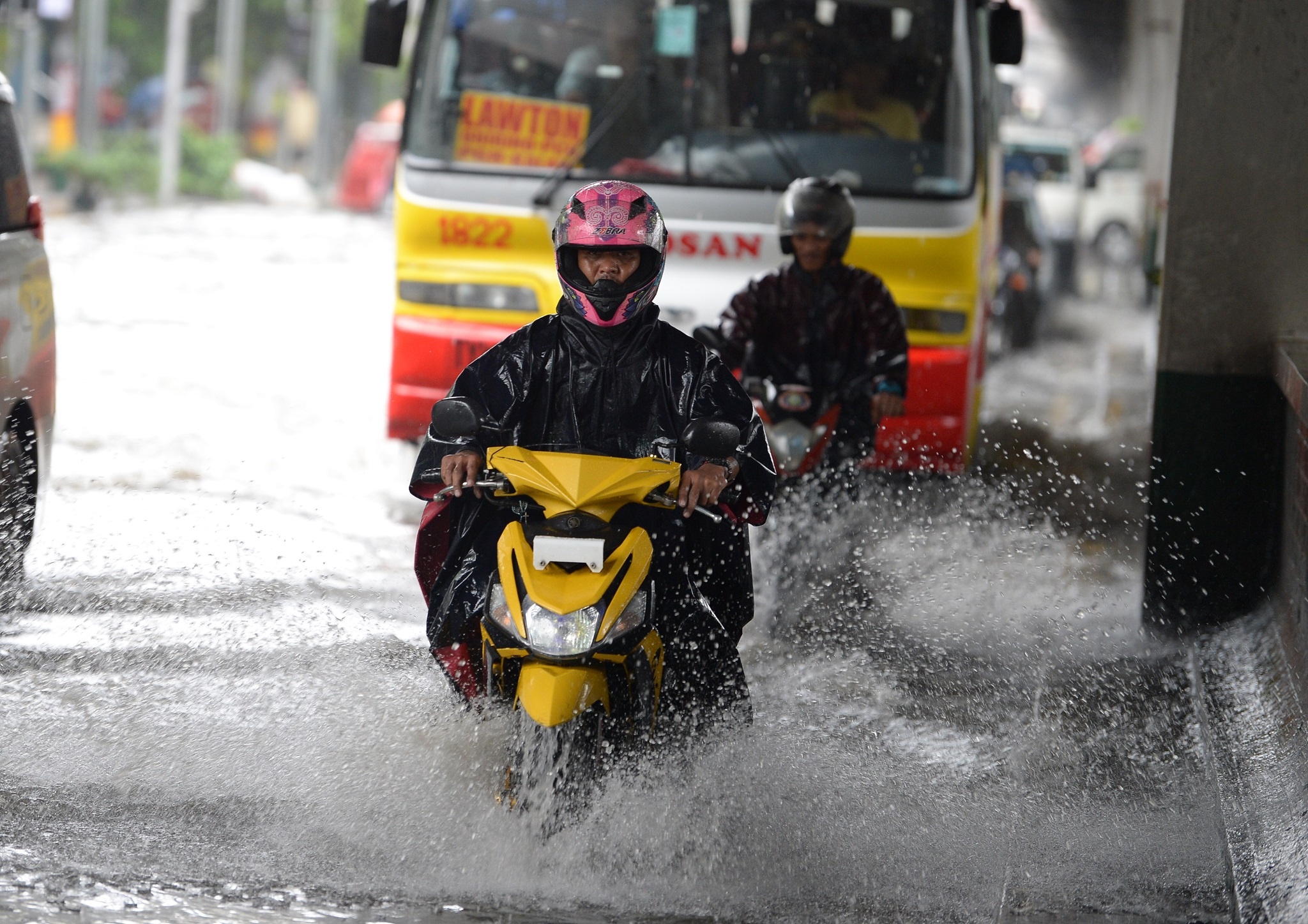 bao nhiet doi Son Tinh anh 5
