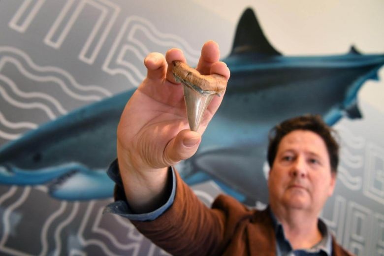 Tim thay rang ca map khong lo song cach day 25 trieu nam hinh anh