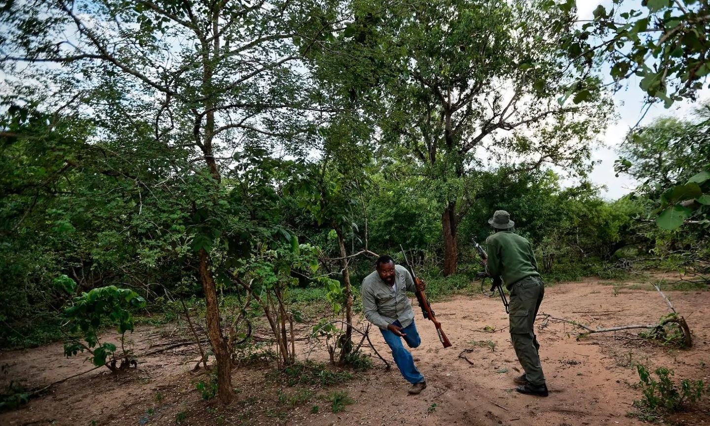 cuu voi chau Phi anh 5