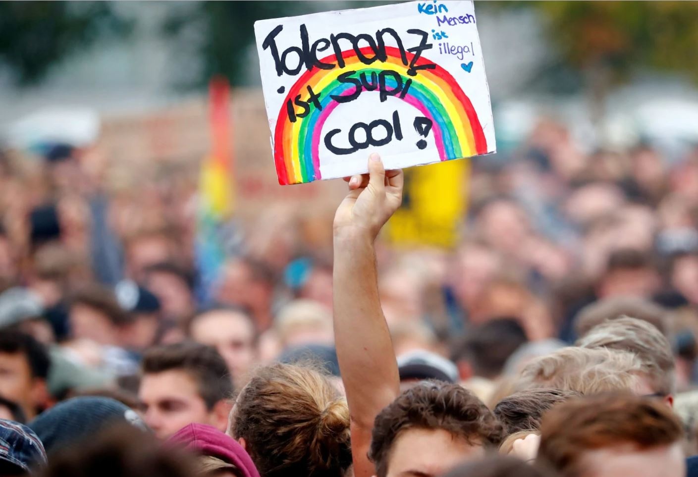 bieu tinh chong cuu huu o Duc anh 1