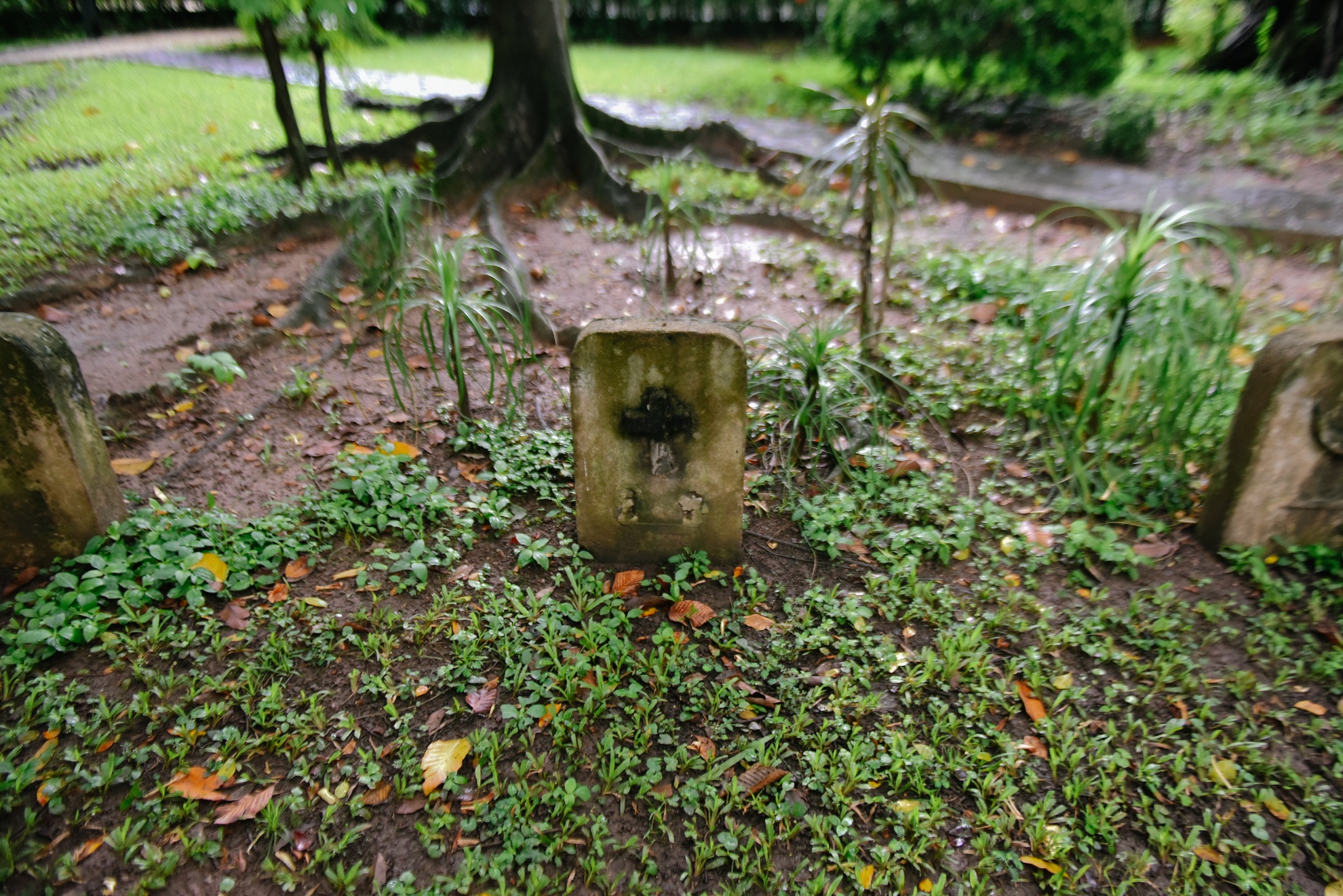 dinh thu lanh su Phap tai TP.HCM anh 9