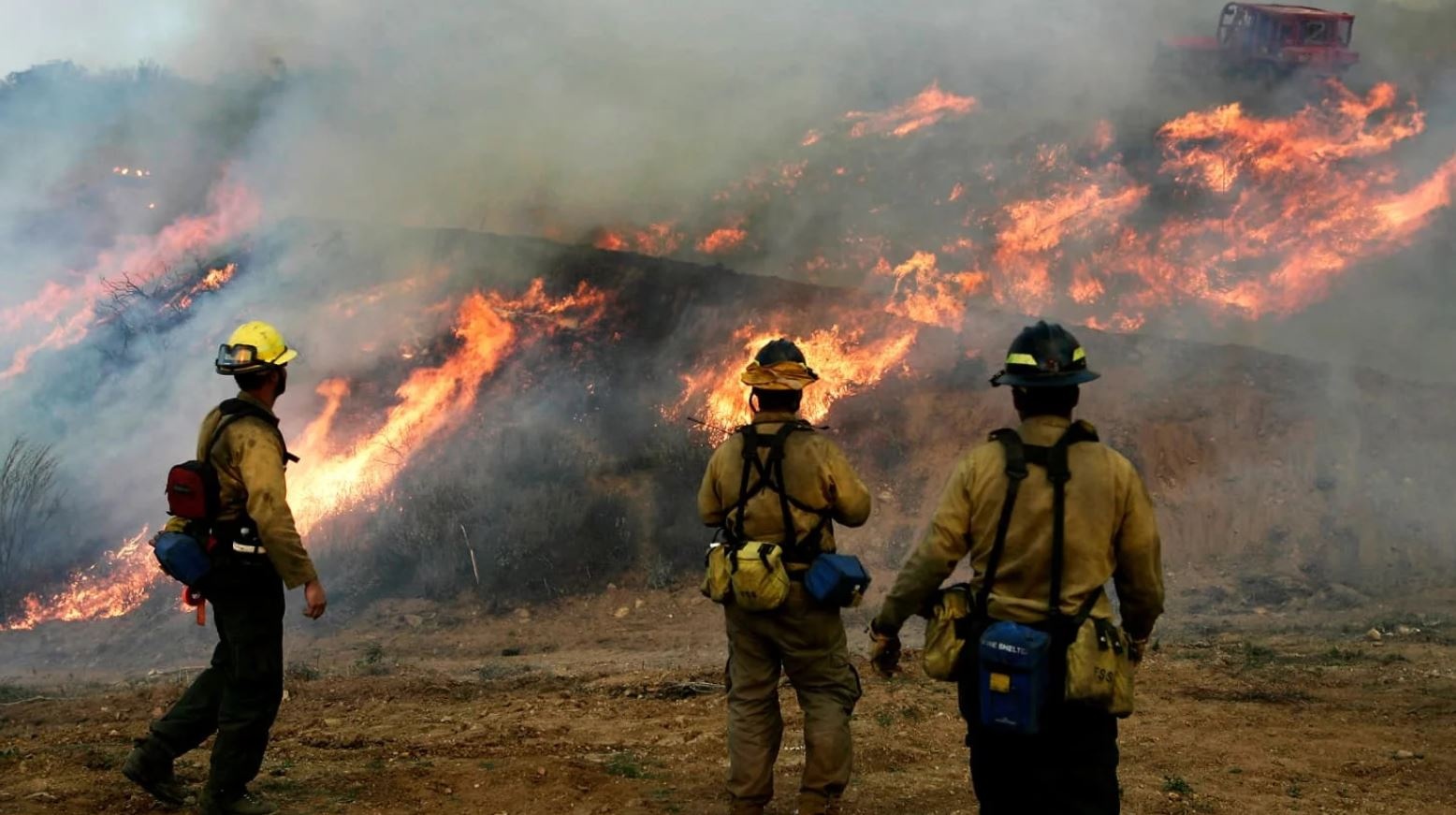 bao tuyet o My anh 7