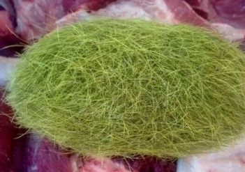 Nguoi Trung Quoc lung mua cat lon gia nghin USD moi gram hinh anh