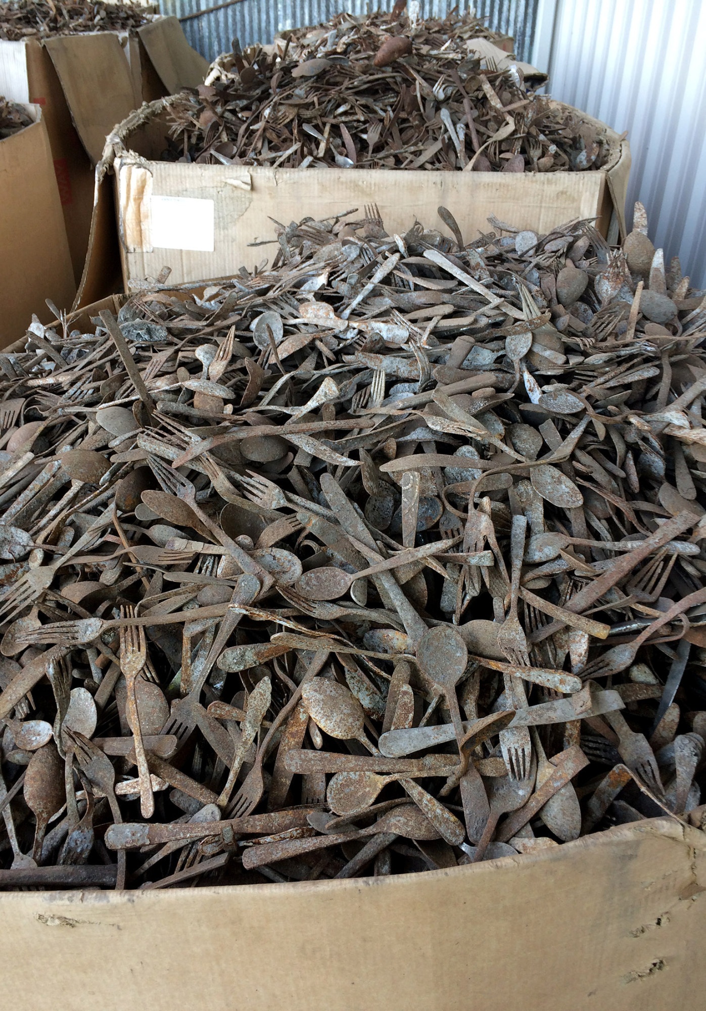 Nguoi My vut tien vao thung rac anh 2