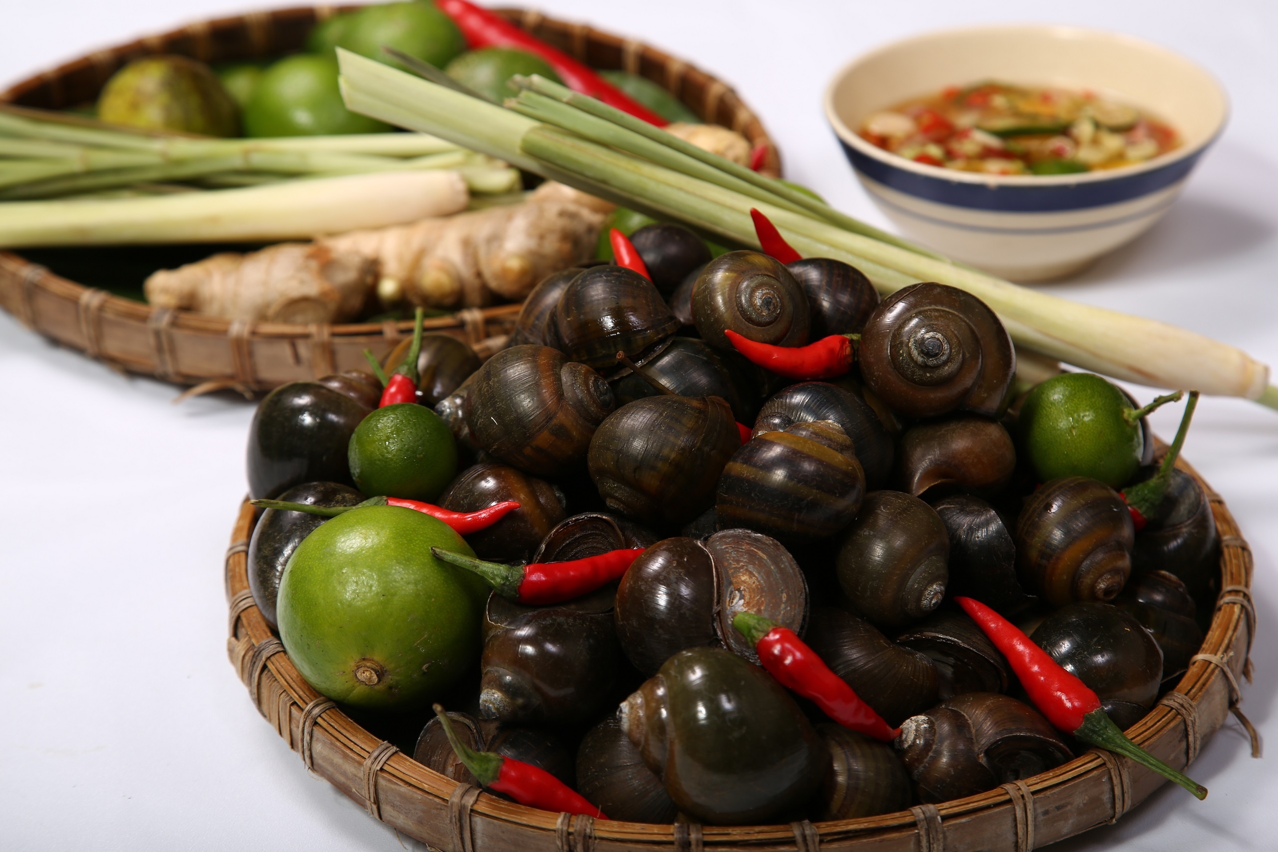 truyen thong quoc te ca ngoi anh 8