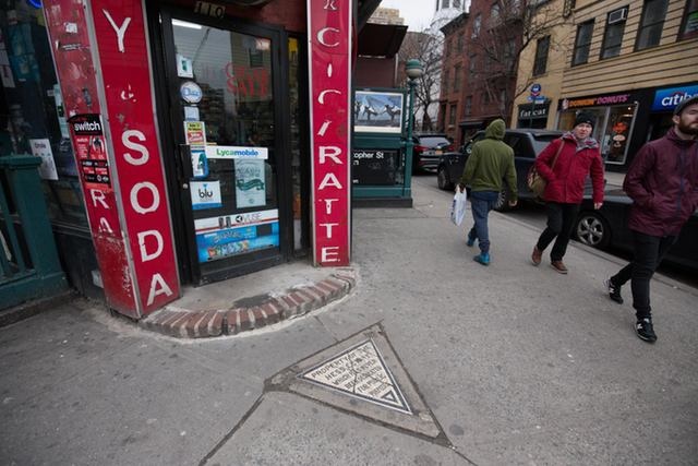 Cau chuyen dang sau manh dat nho nhat o New York hinh anh