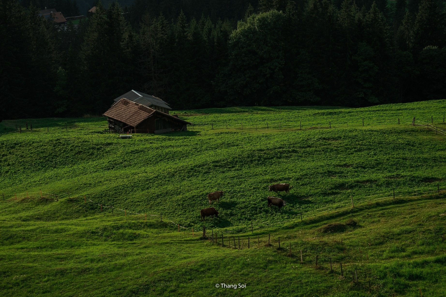 châu Âu trong mắt nhiếp ảnh gia Việt ảnh 26 chau Au trong mat nhiep anh gia Viet anh 26