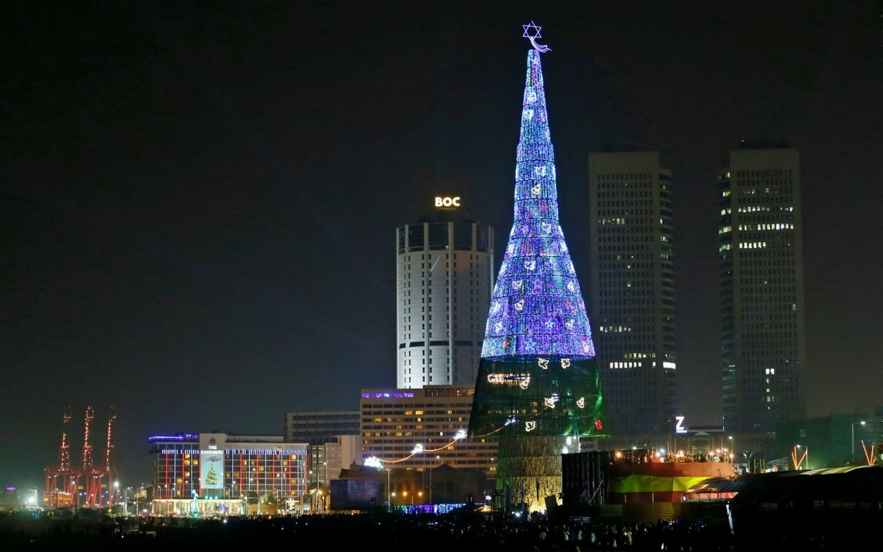 Cây thông Noel  ảnh 4 Cay thong Noel anh 4