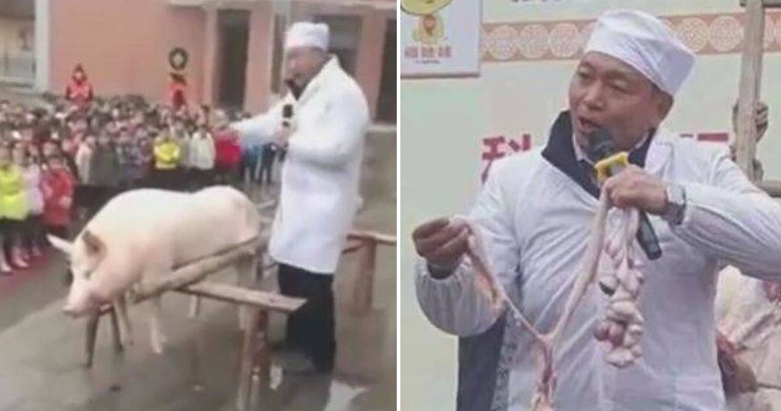 Truong mau giao mo lon truoc mat 600 tre hinh anh