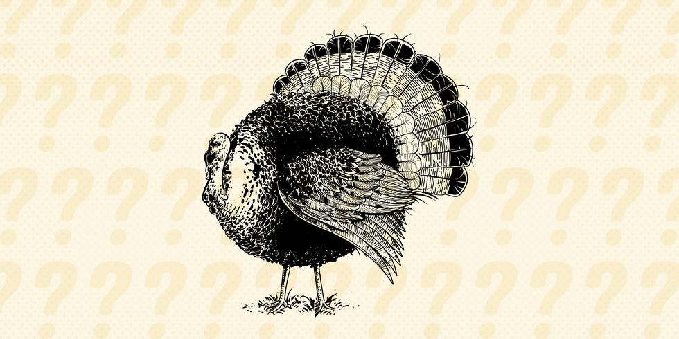 Giai cau do tim ga lan tron de mo tiec hinh anh