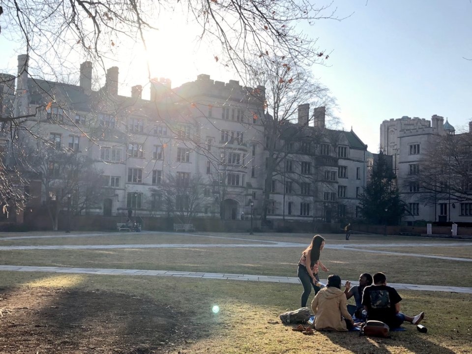 hoc online mien phi anh 4