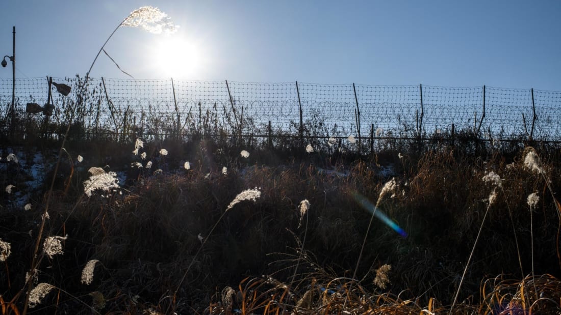 DMZ giua Han Quoc va Trieu Tien anh 5