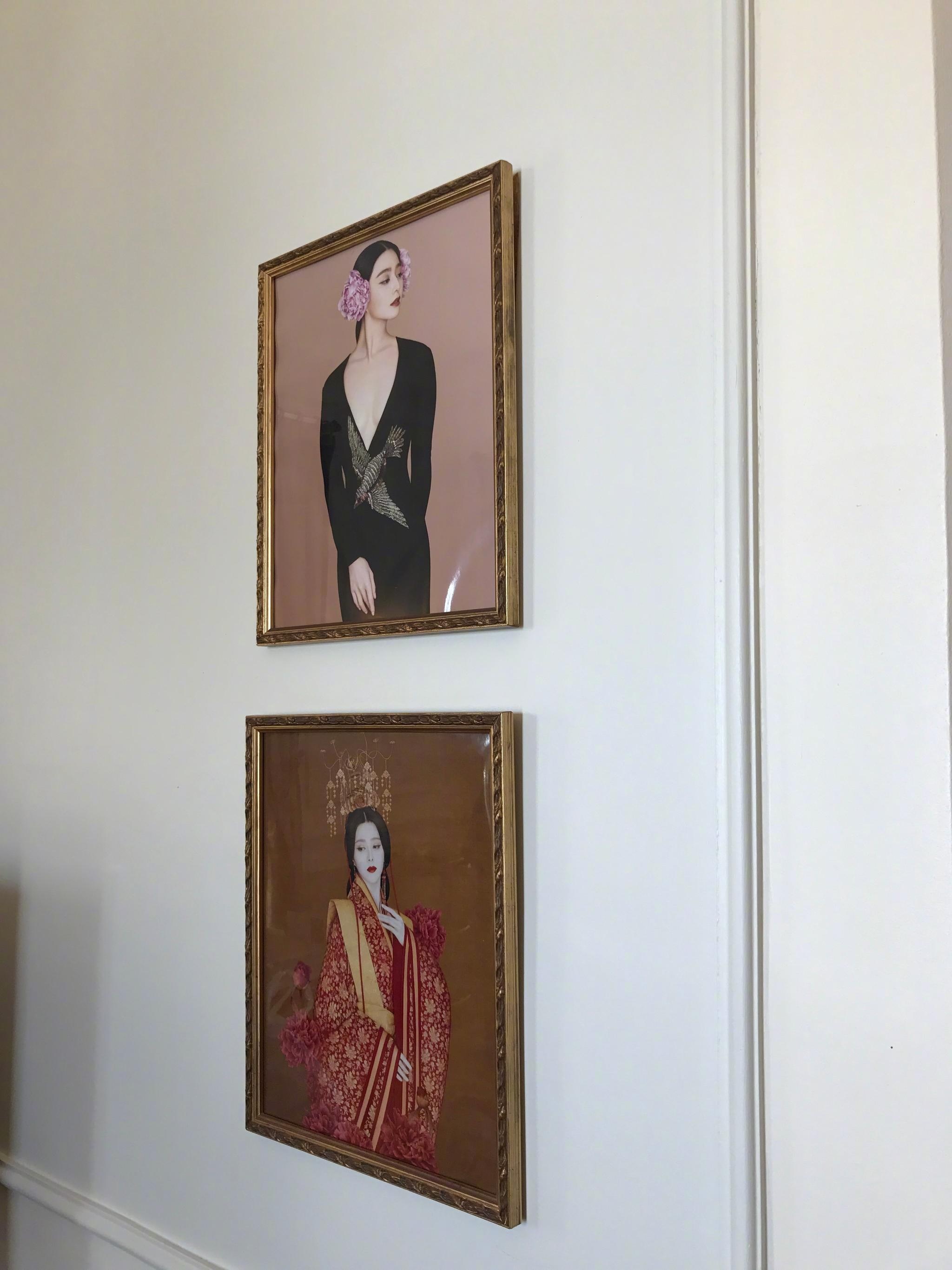 LHP Quốc tế Canes ảnh 7 LHP Quoc te Canes anh 7