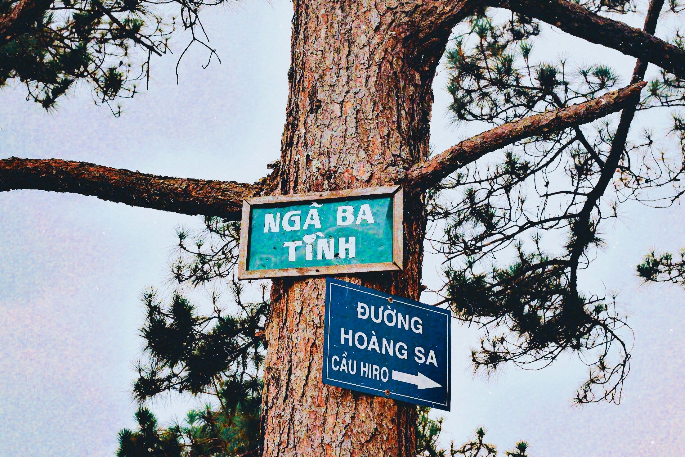 du lich Da Lat anh 9