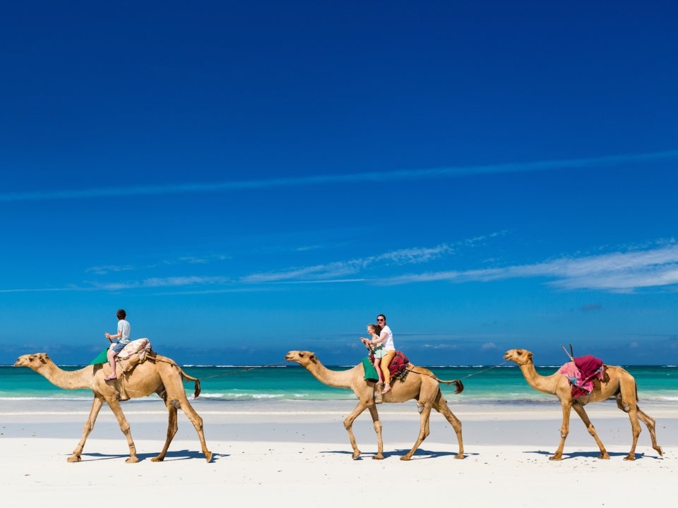 kien thuc o truong anh 8