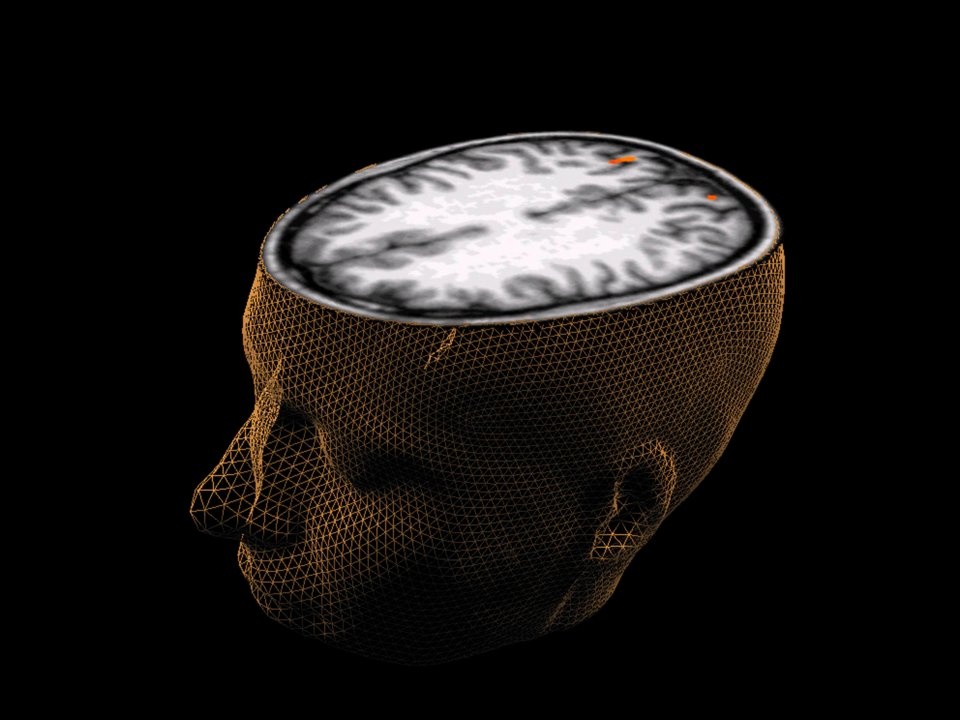 kien thuc o truong anh 6