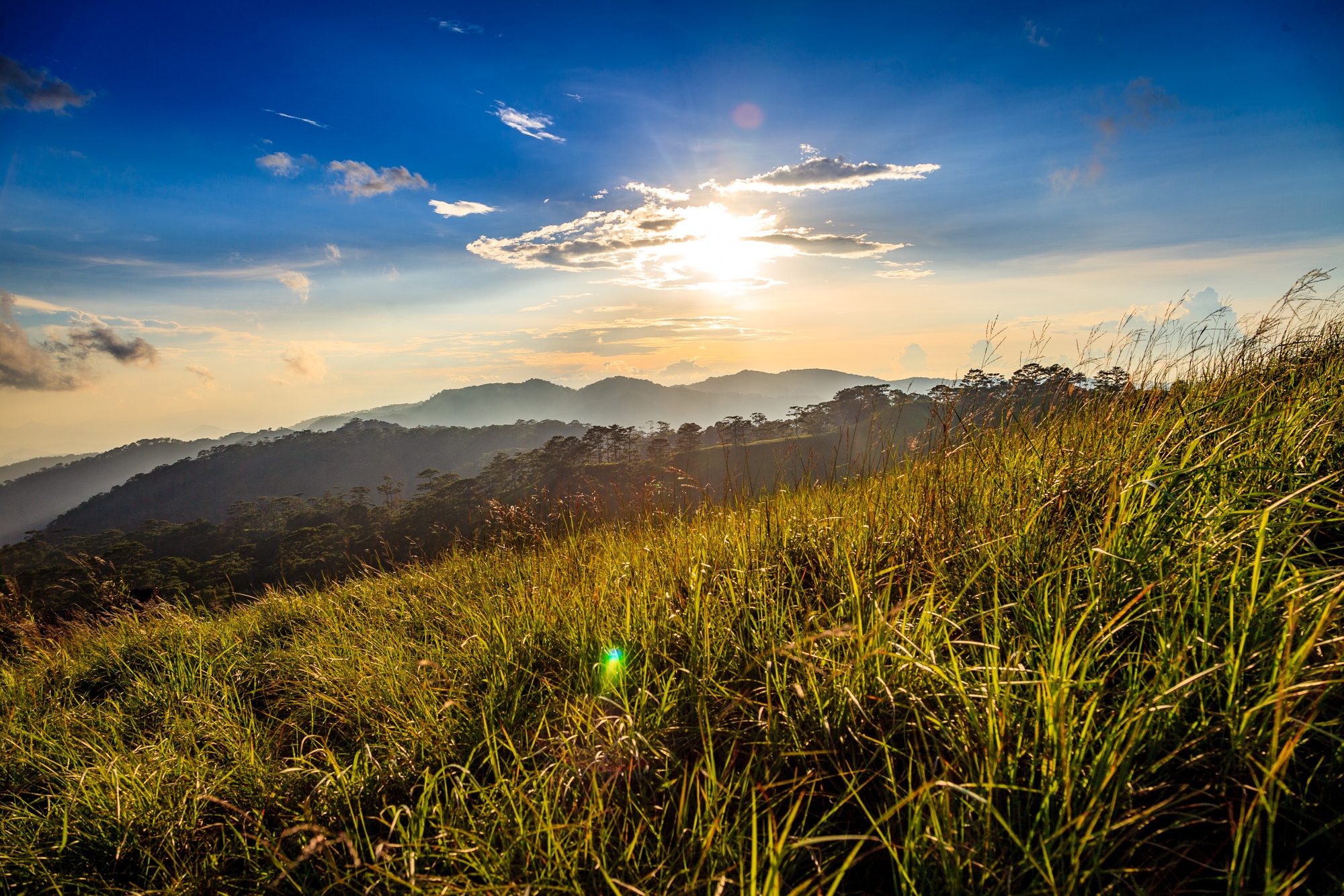 Ta Nang - Phan Dung: Cung duong trekking dep nhung day ray hiem nguy hinh anh