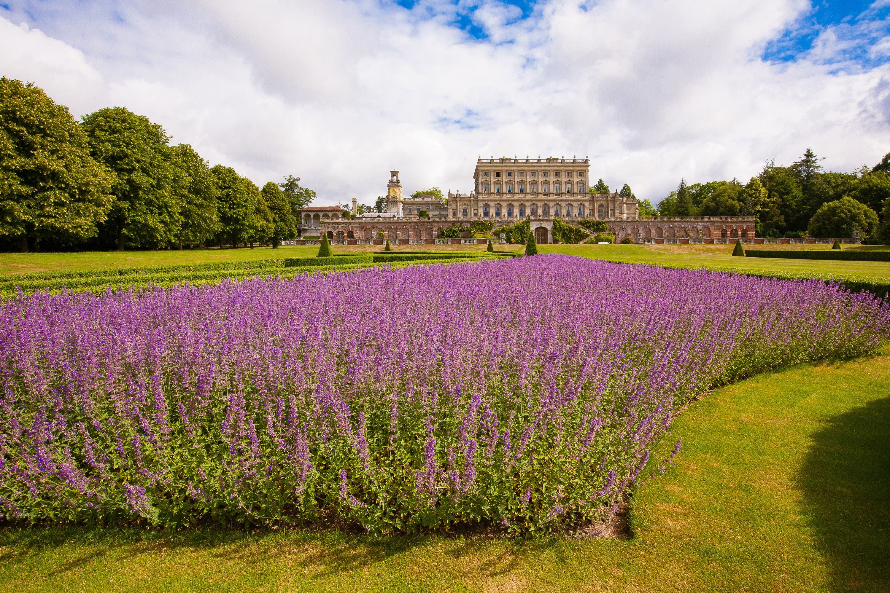 Markle và Hoàng tử Harry ảnh 2 Markle va Hoang tu Harry anh 2