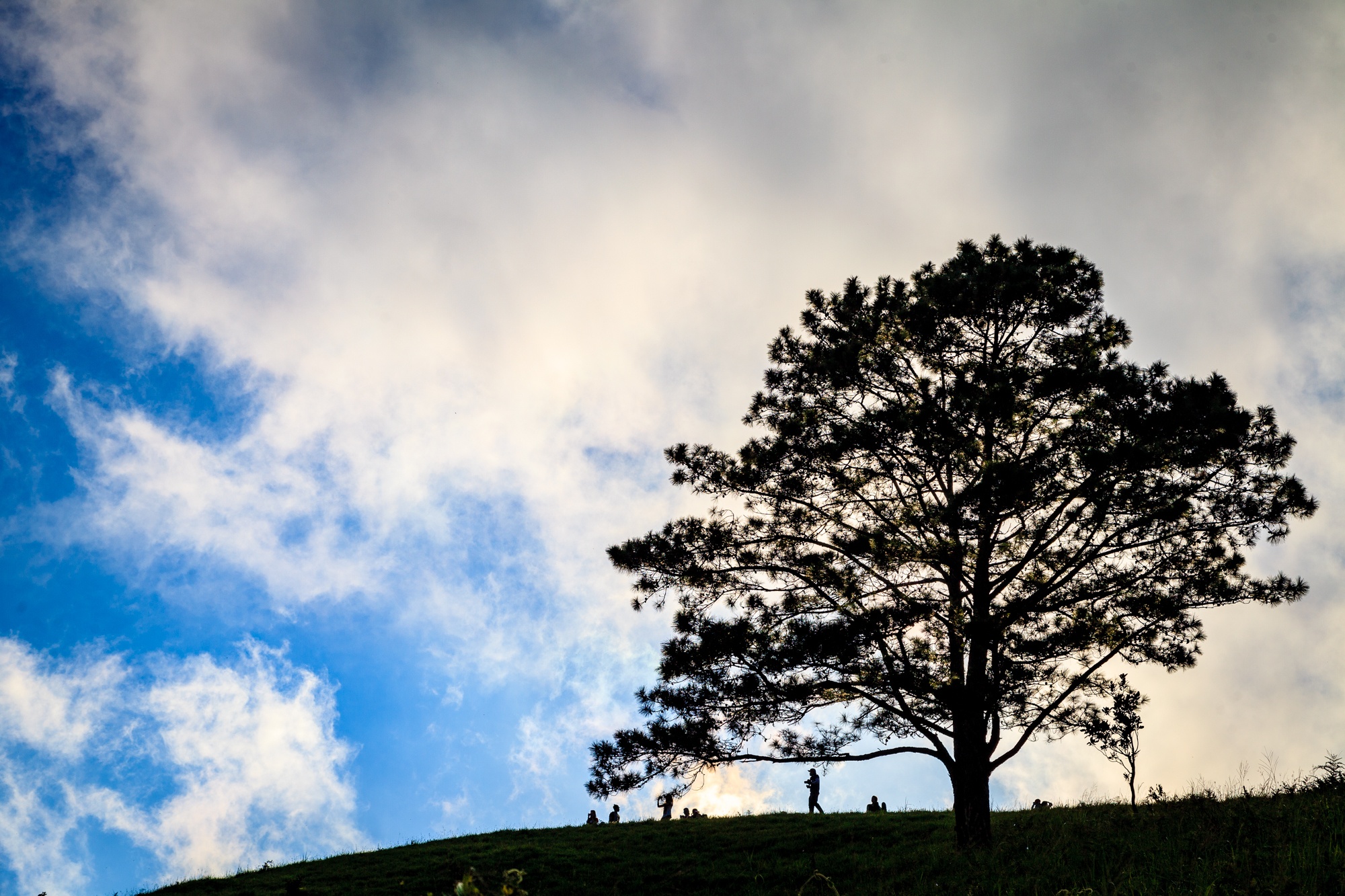 cung duong trekking dep nhat Viet Nam anh 7