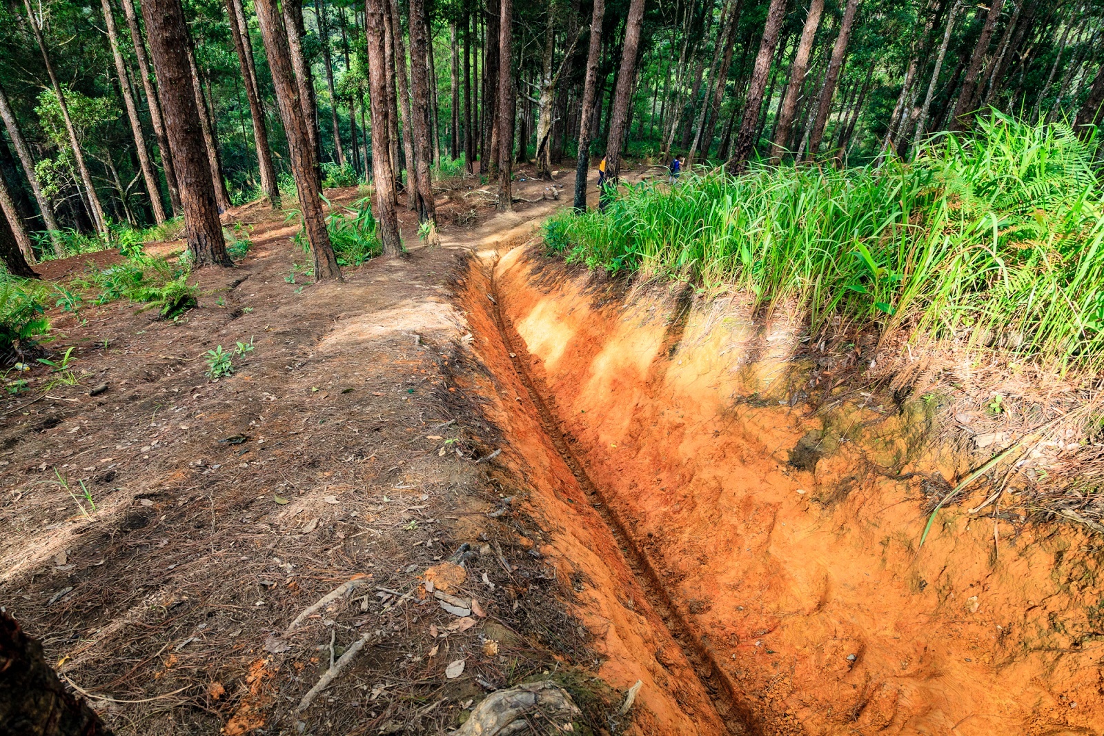 cung duong trekking dep nhat Viet Nam anh 3