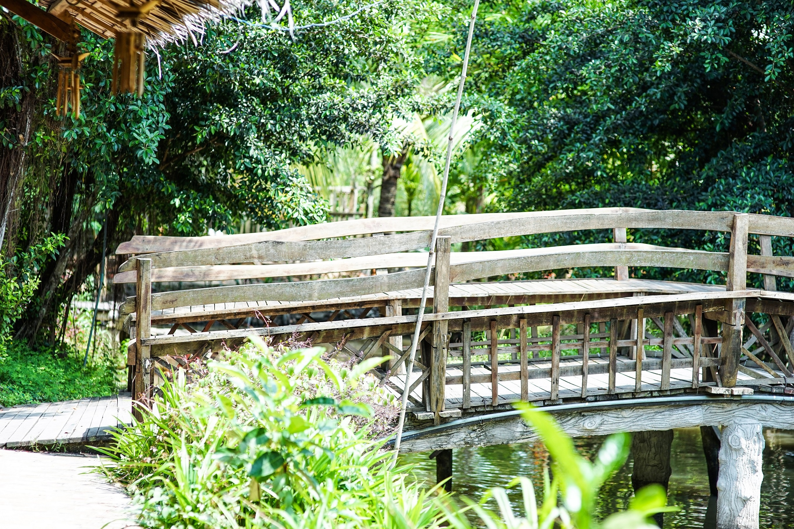 du lich Can Tho anh 7