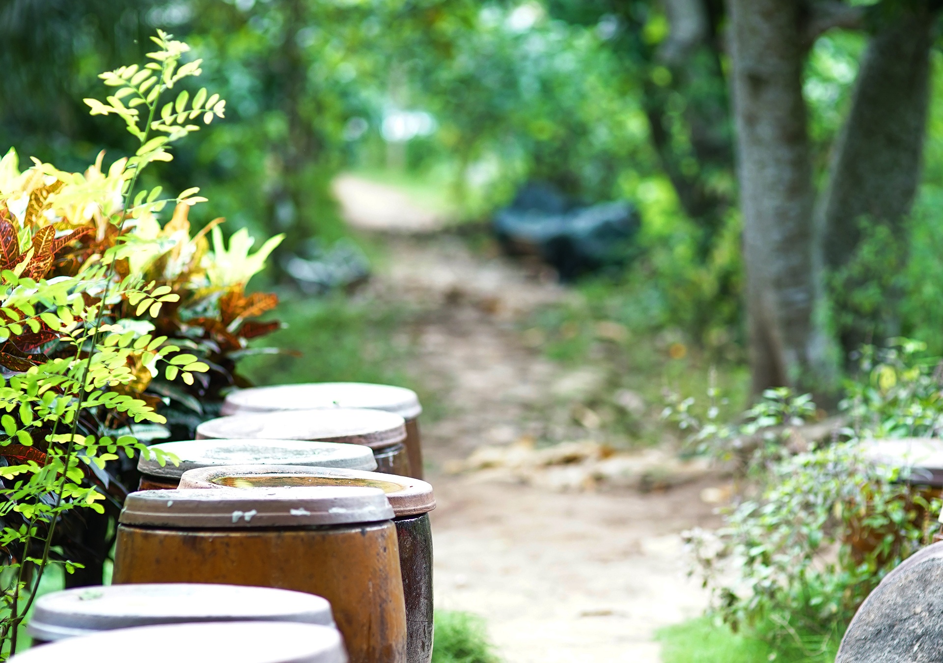 du lich Can Tho anh 12