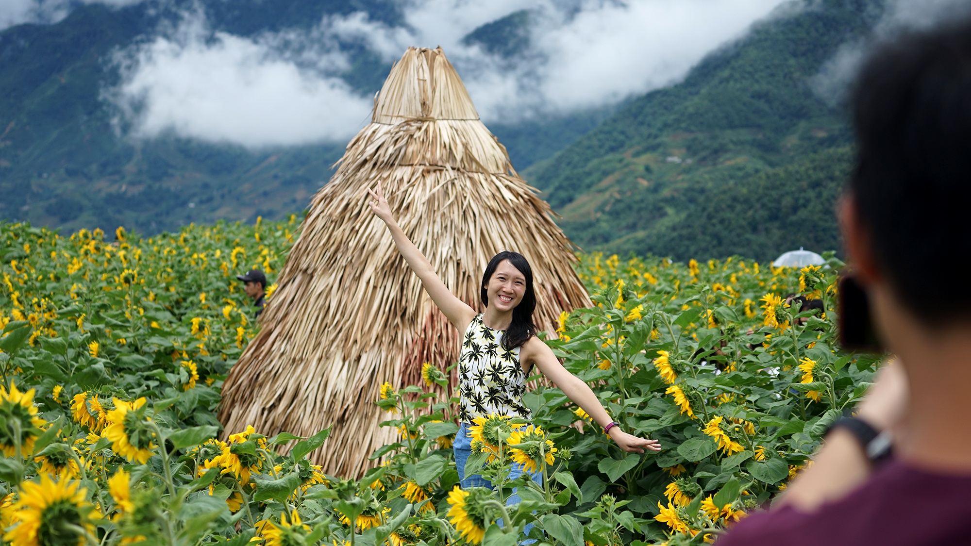 canh dong hoa huong duong o Fansipan anh 5