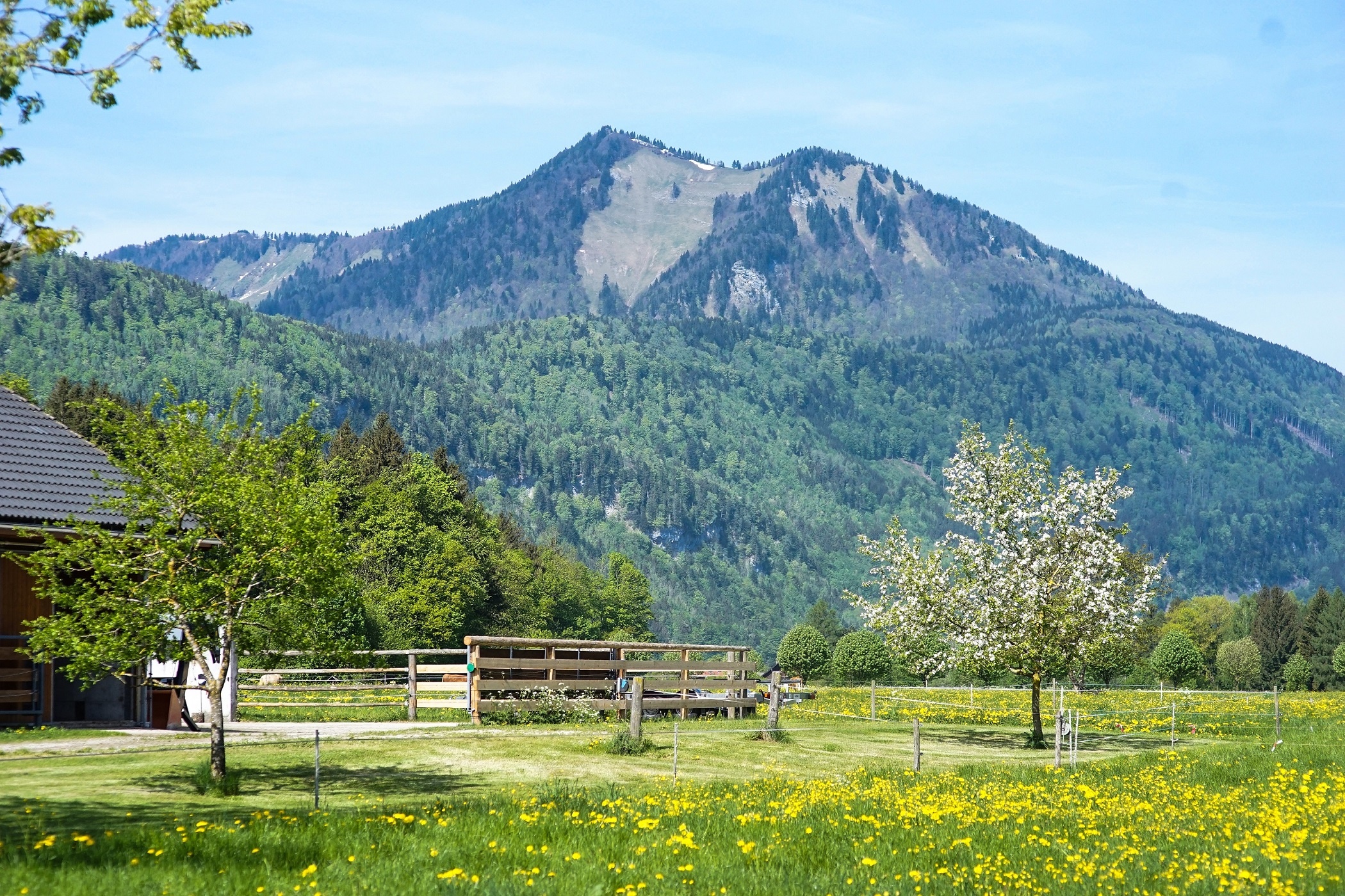 chau Au dep nhu co tich anh 2