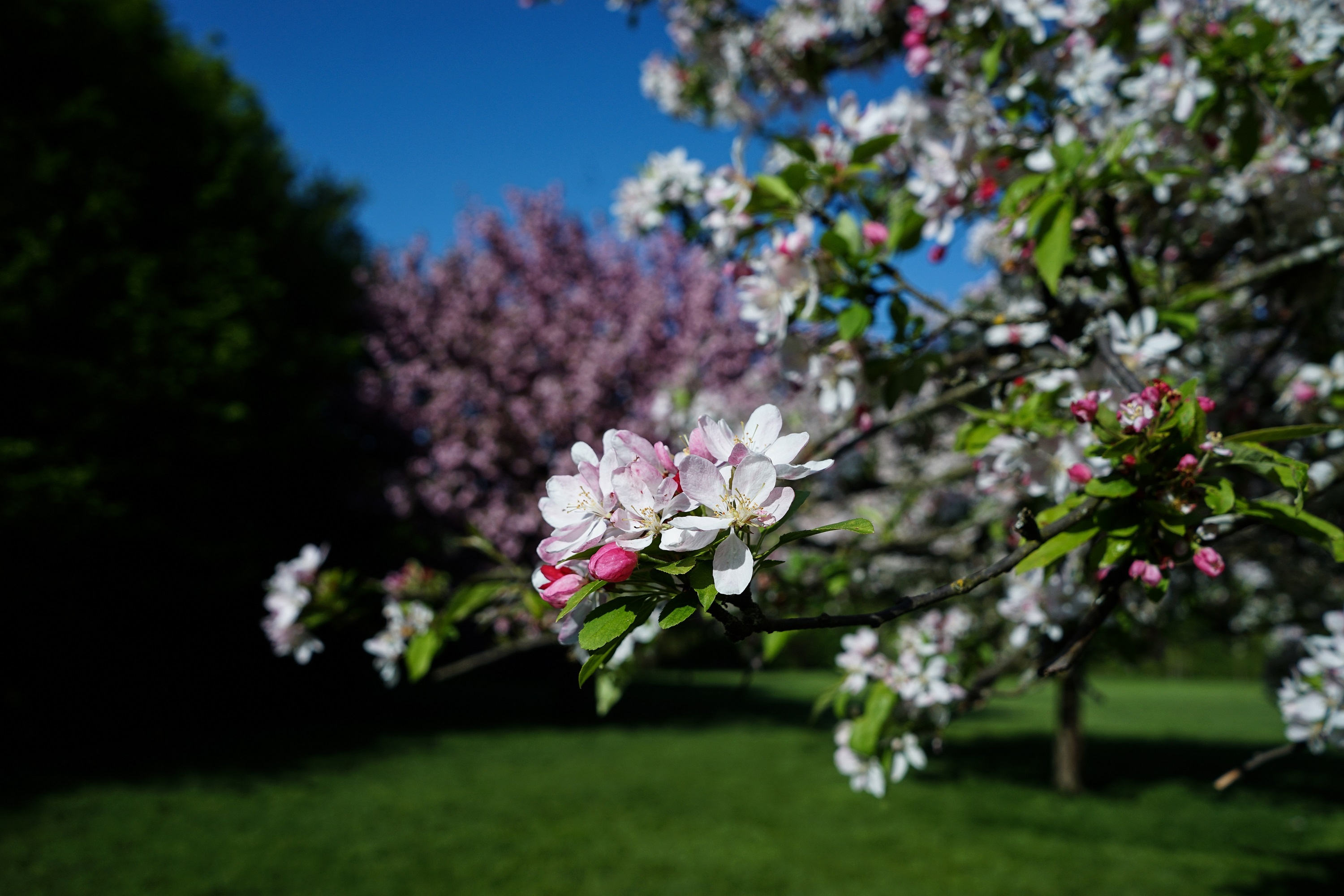 chau Au dep nhu co tich anh 10