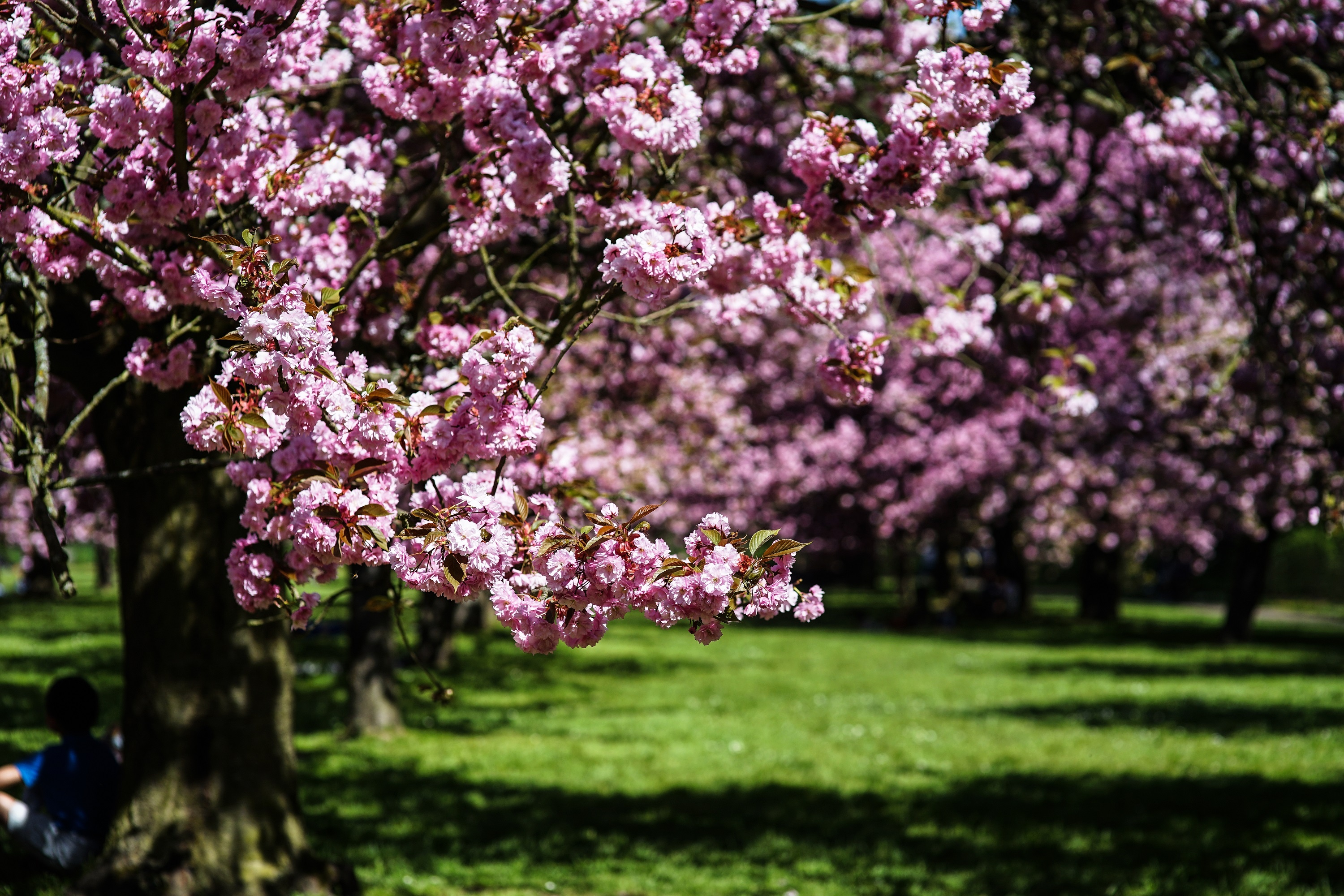 chau Au dep nhu co tich anh 14