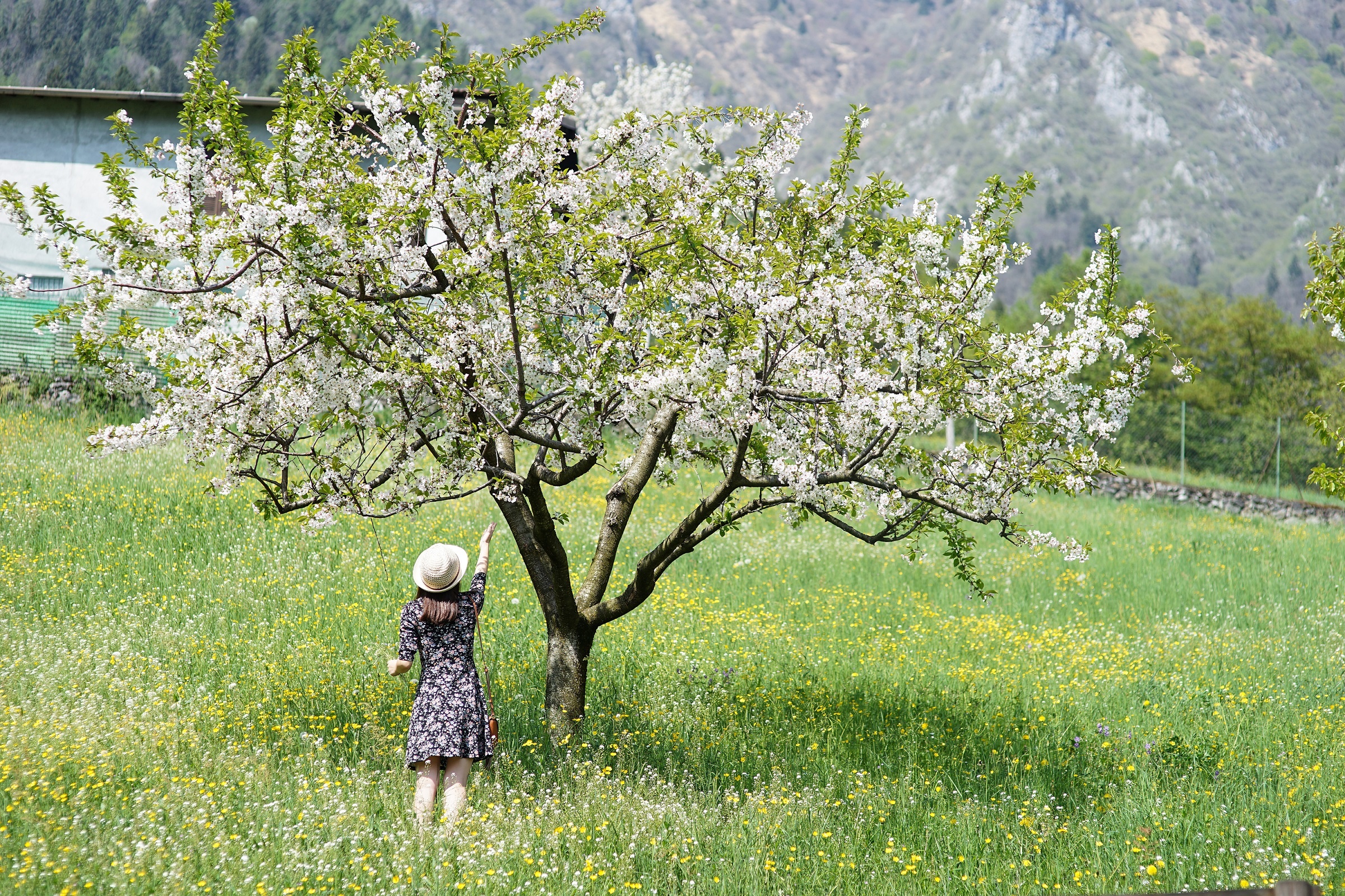 chau Au dep nhu co tich anh 23