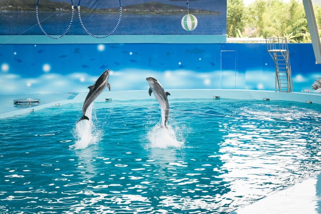 vui chơi cuối tuần ở Hà Nội ảnh 5 vui choi cuoi tuan o Ha Noi anh 5