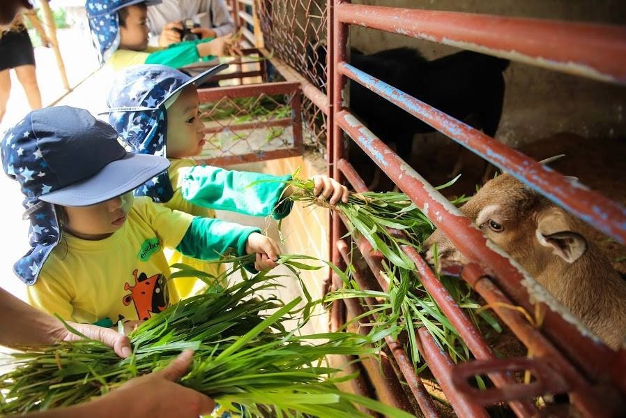 vui chơi cuối tuần ở Hà Nội ảnh 31 vui choi cuoi tuan o Ha Noi anh 31