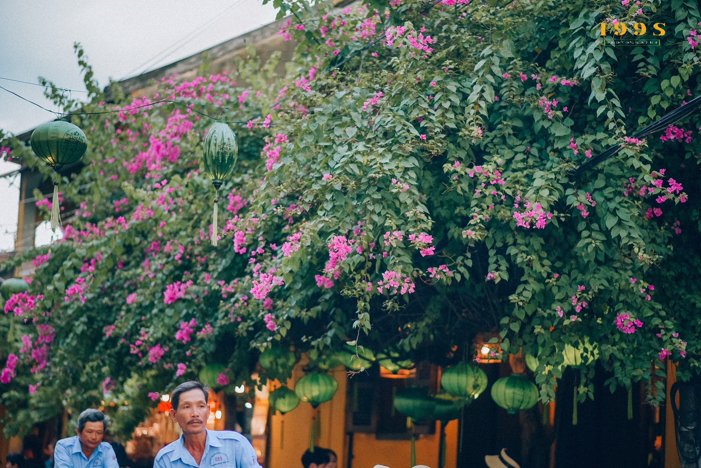 xuyen Viet anh 6
