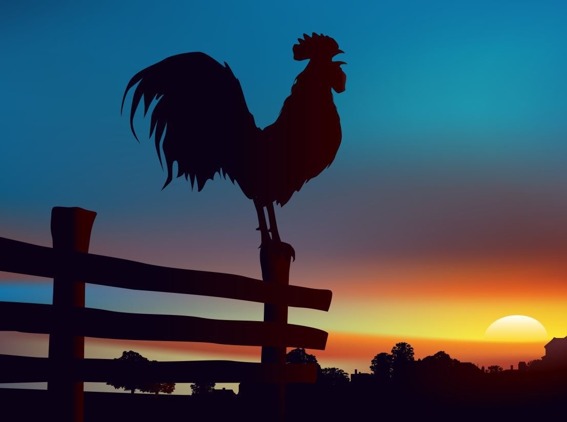 quốc kỳ của Pháp mang ý nghĩa gì ảnh 2 quoc ky cua Phap mang y nghia gi anh 2