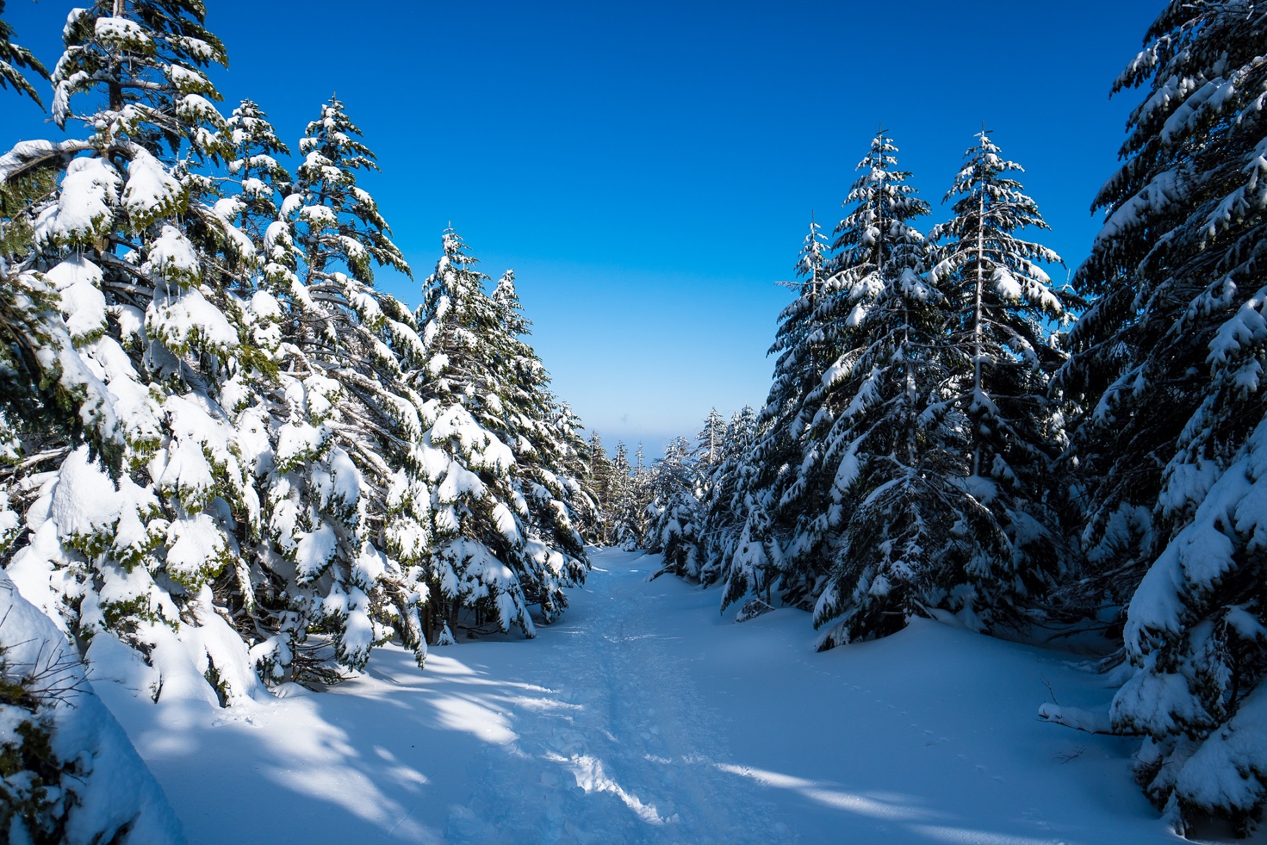 du hoc sinh Nhat Ban anh 3