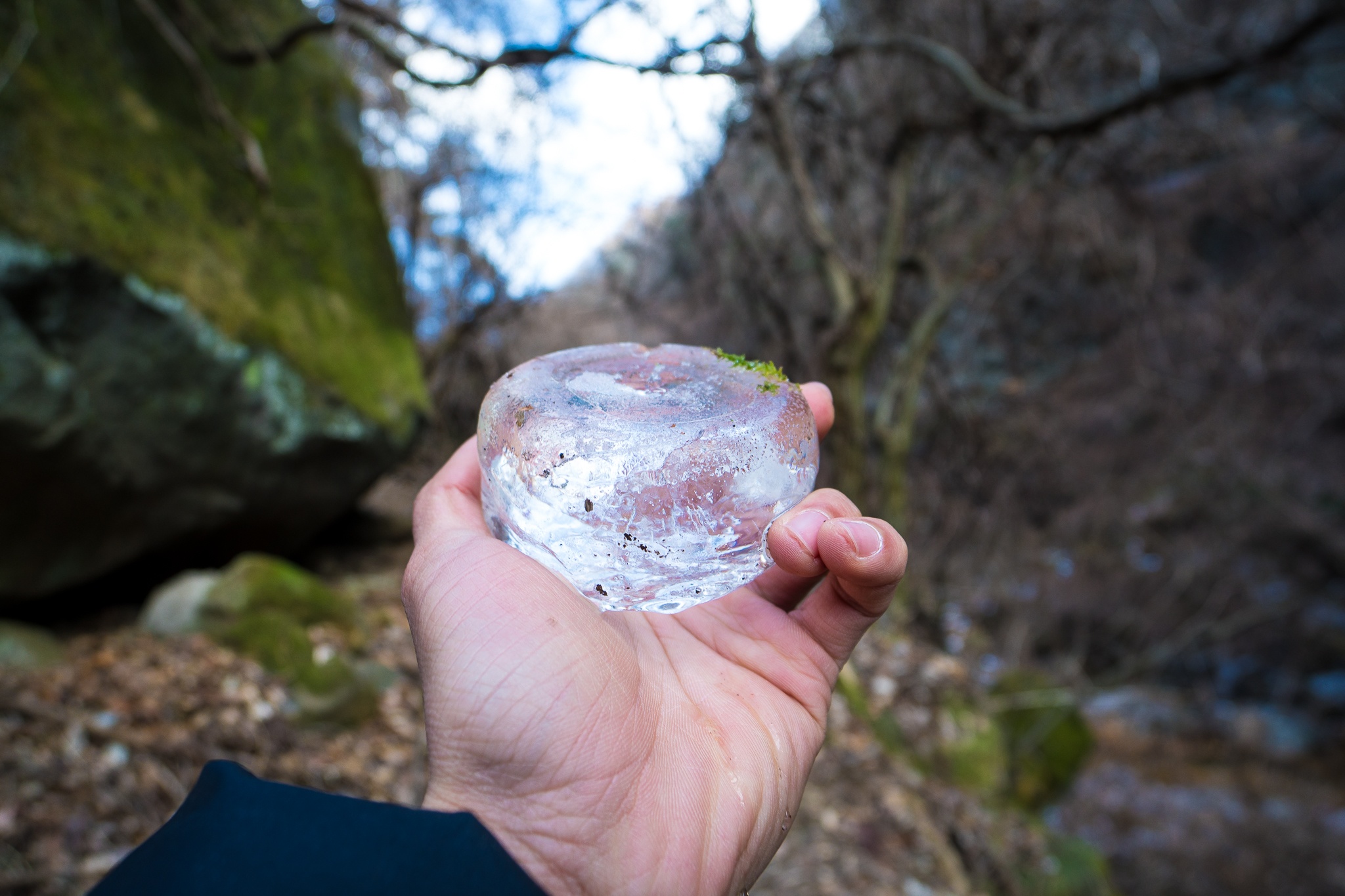 du hoc sinh Nhat Ban anh 9