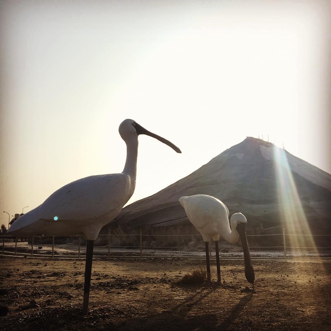 nui muoi That Co anh 3