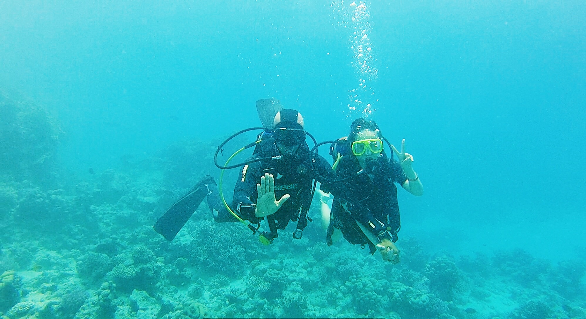 hành trình đi tìm kho báu ảnh 30 hanh trinh di tim kho bau anh 30