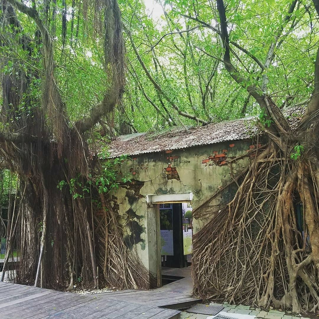 du lịch Đài Nam ảnh 8 du lich Dai Nam anh 8