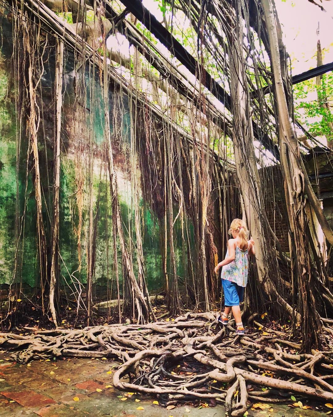 du lịch Đài Nam ảnh 13 du lich Dai Nam anh 13