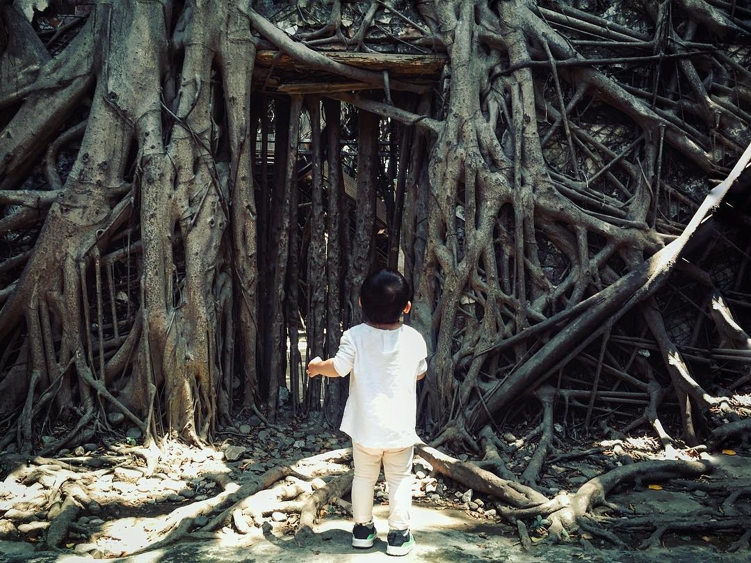 du lịch Đài Nam ảnh 14 du lich Dai Nam anh 14