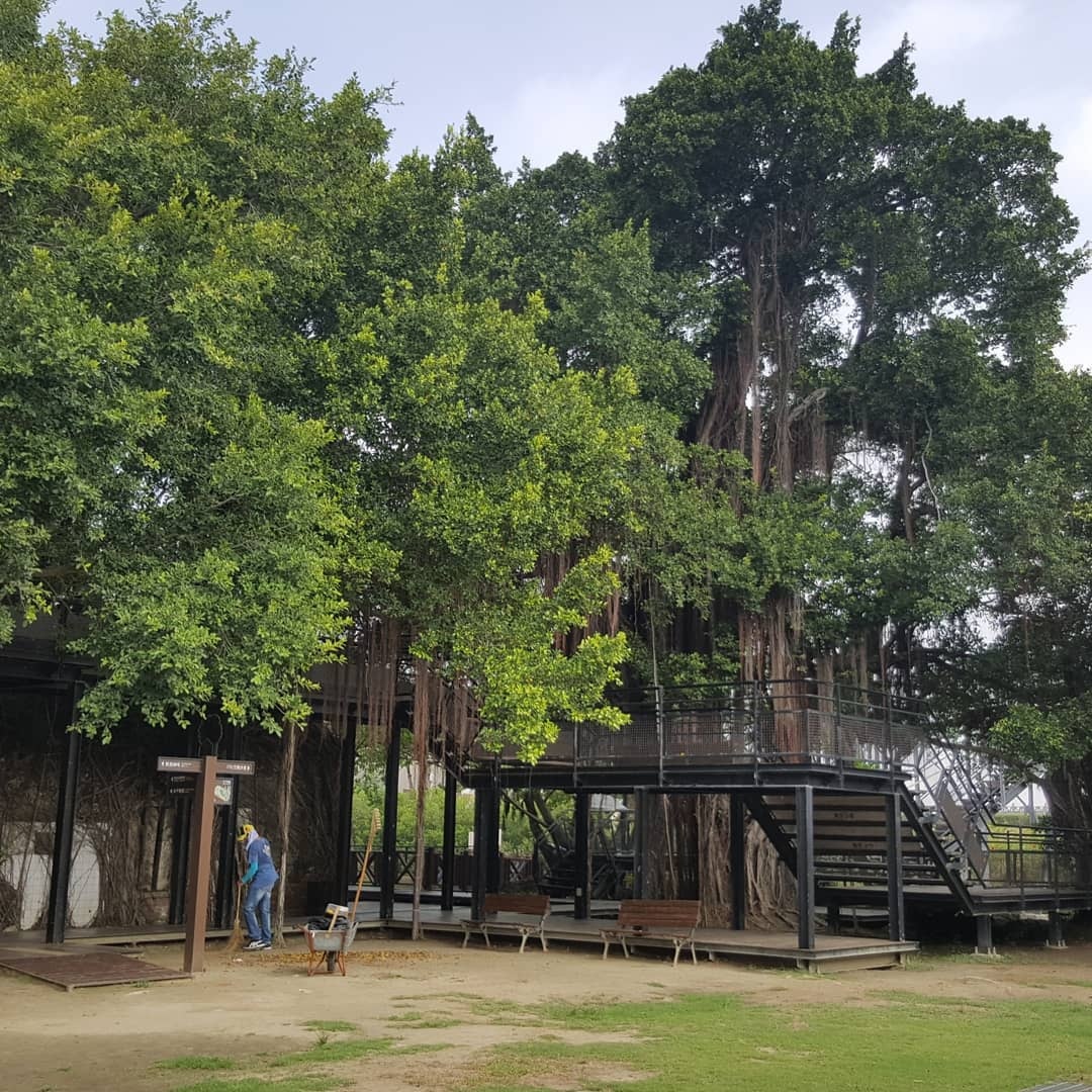 du lịch Đài Nam ảnh 10 du lich Dai Nam anh 10