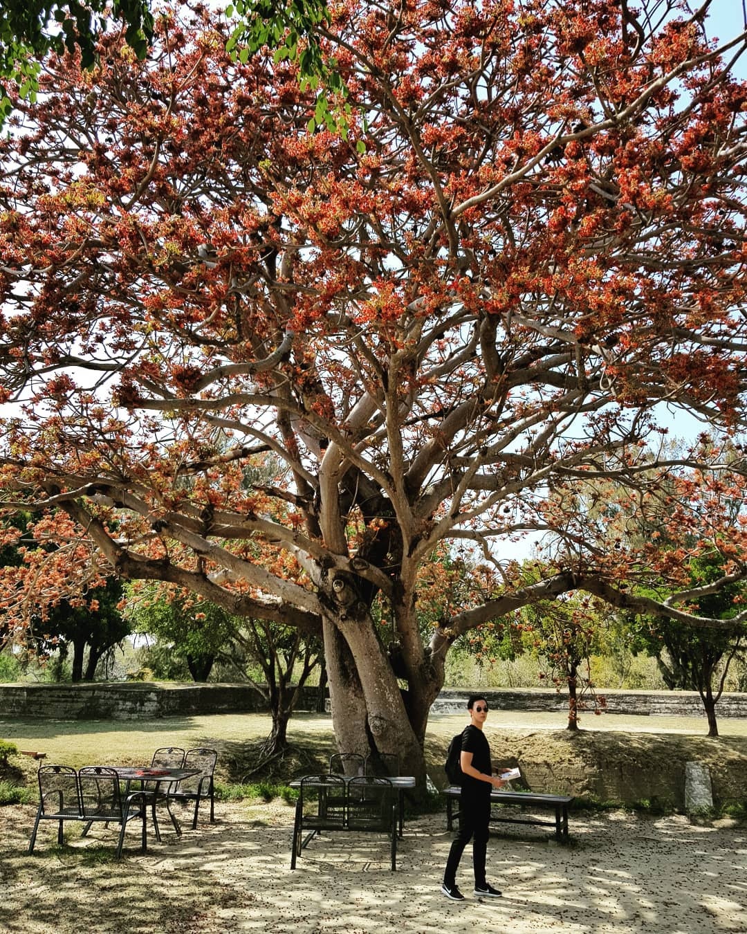 du lịch Đài Nam ảnh 6 du lich Dai Nam anh 6