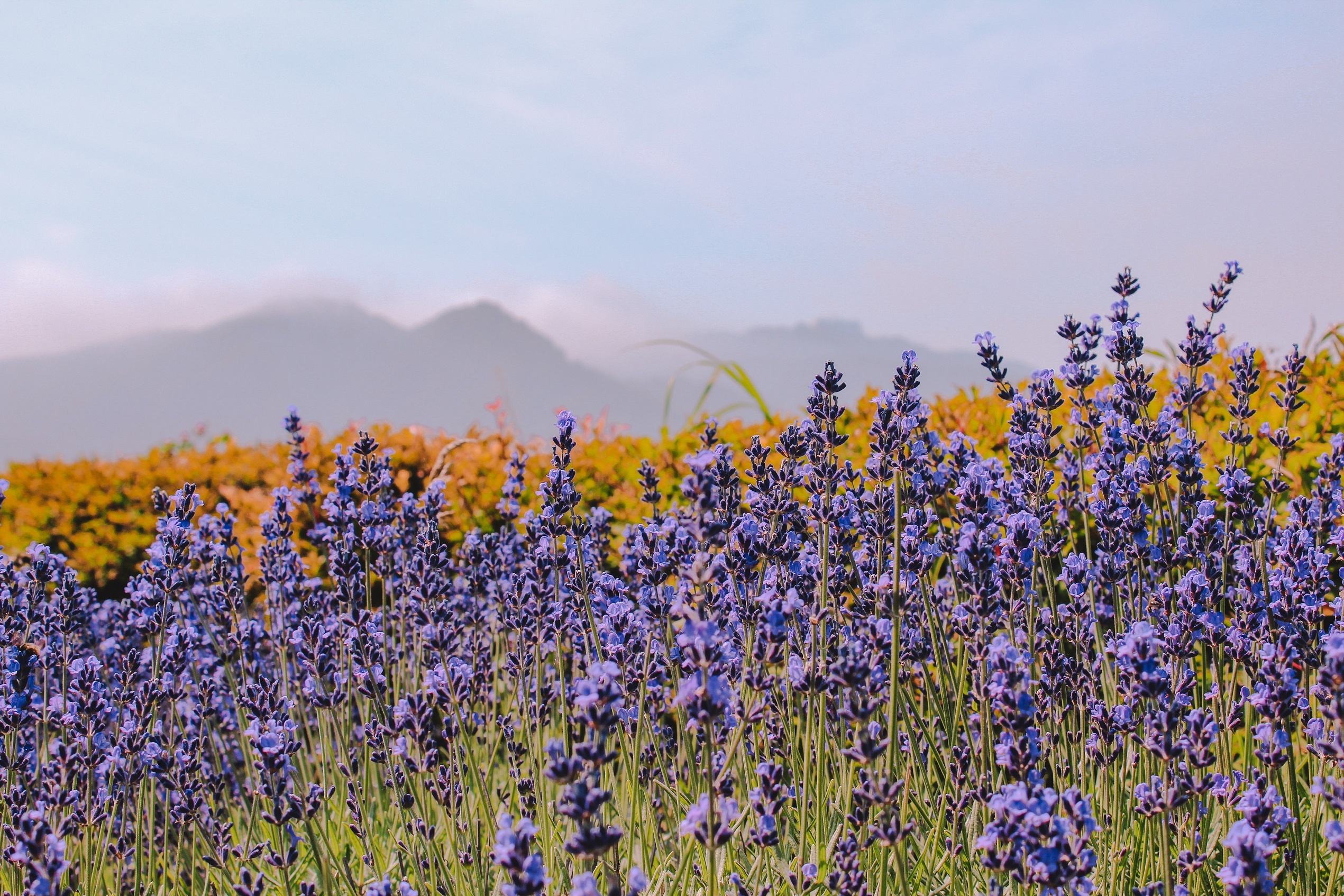 hồ nước lớn nhất ảnh 19 ho nuoc lon nhat anh 19