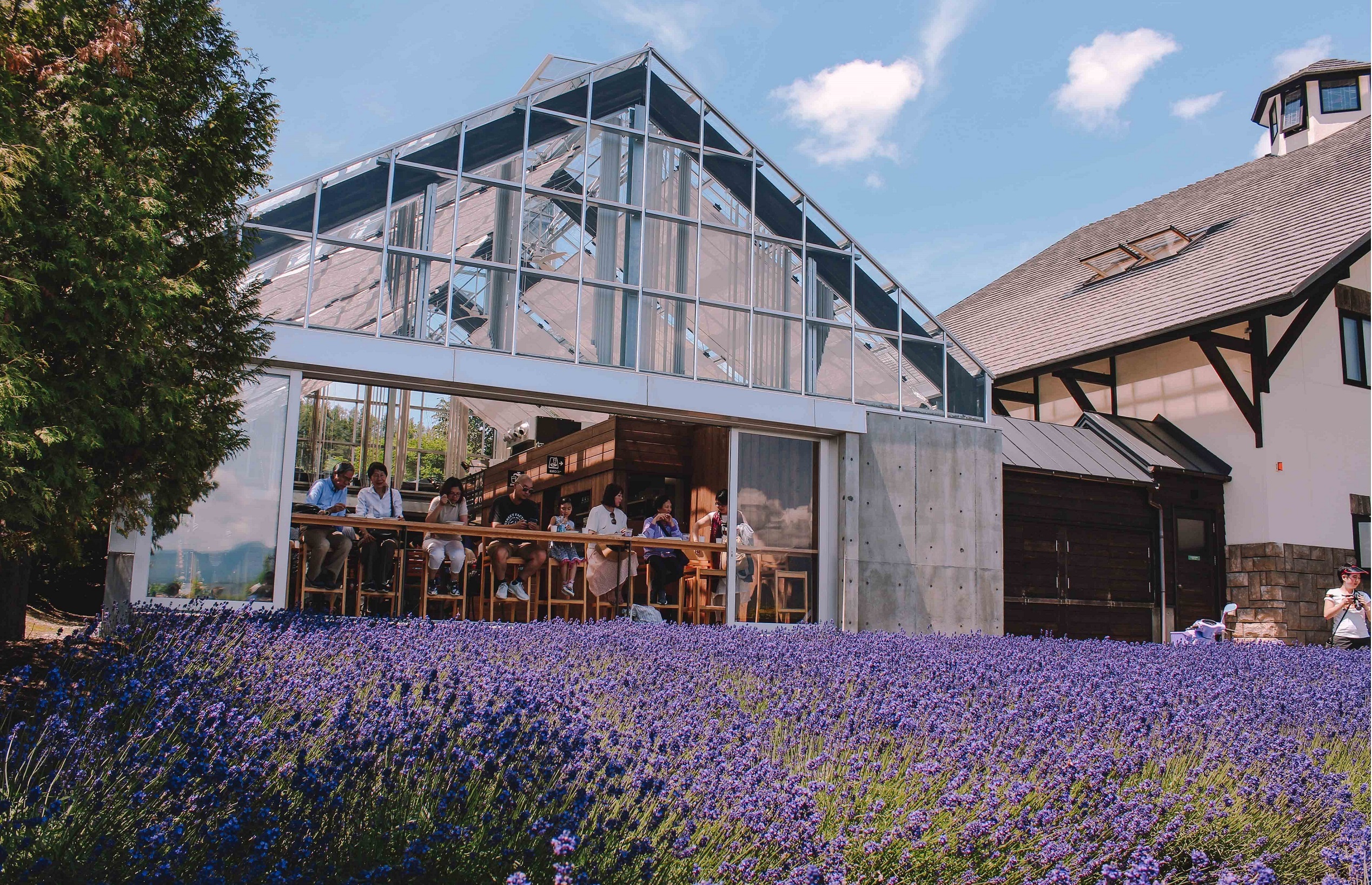 oai huong o Furano anh 8