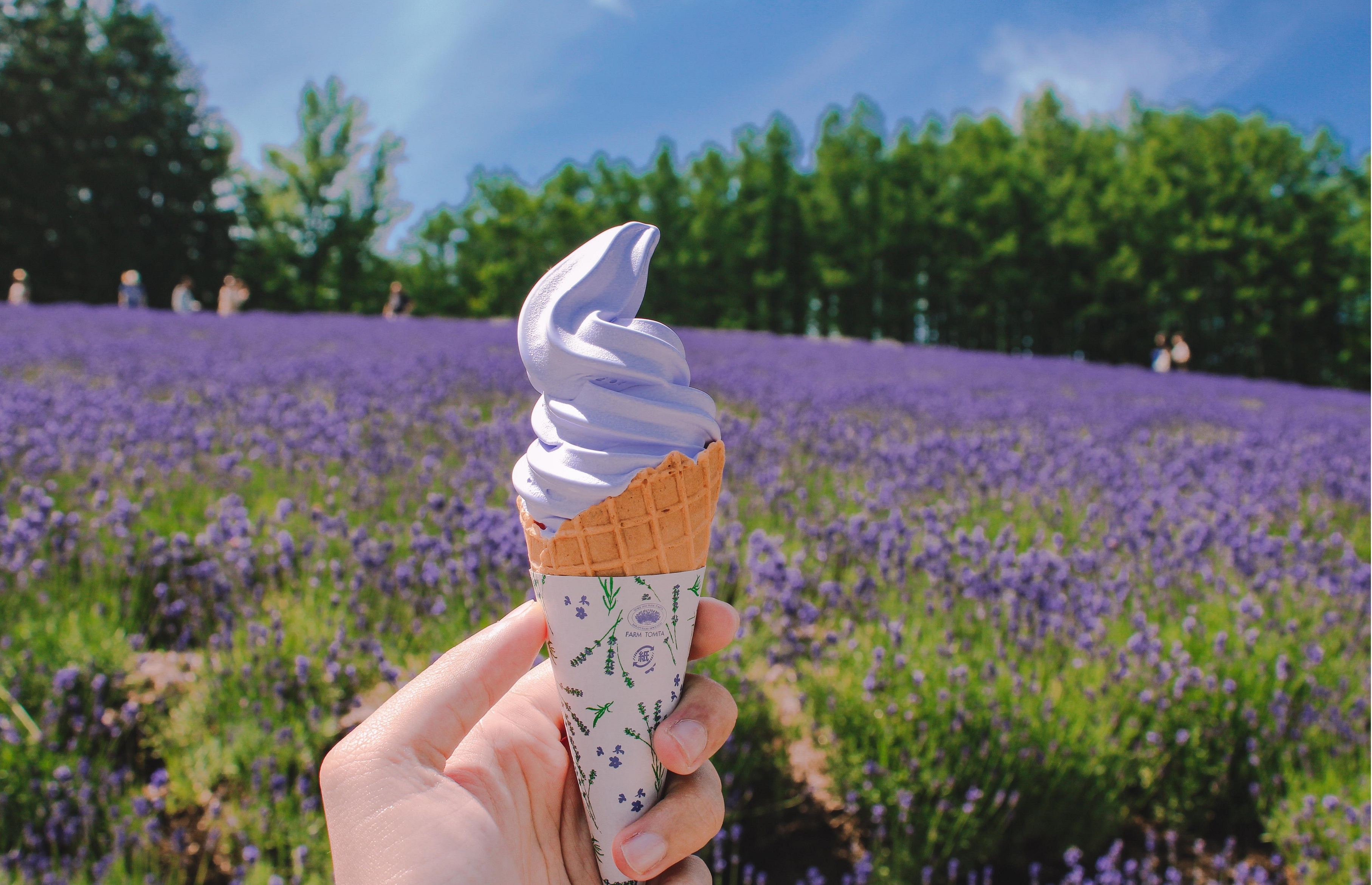 oai huong o Furano anh 6